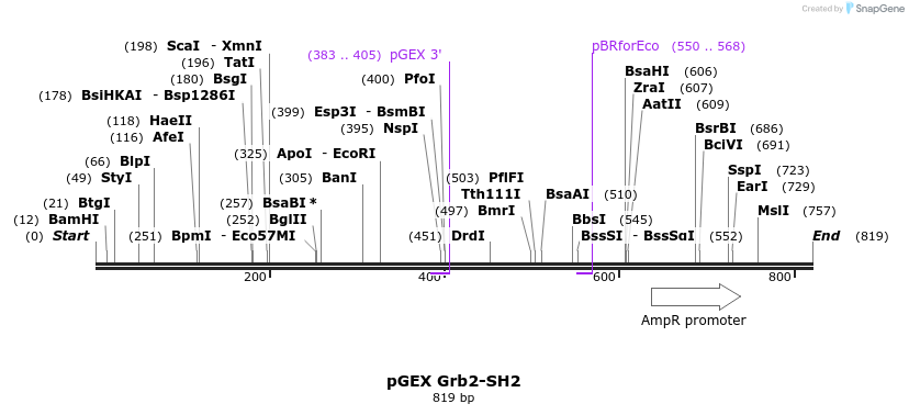 66739_map