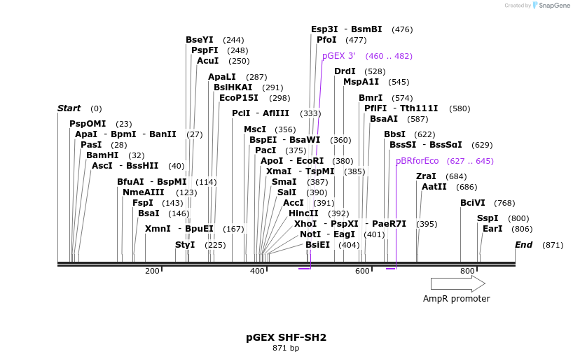 66741_map