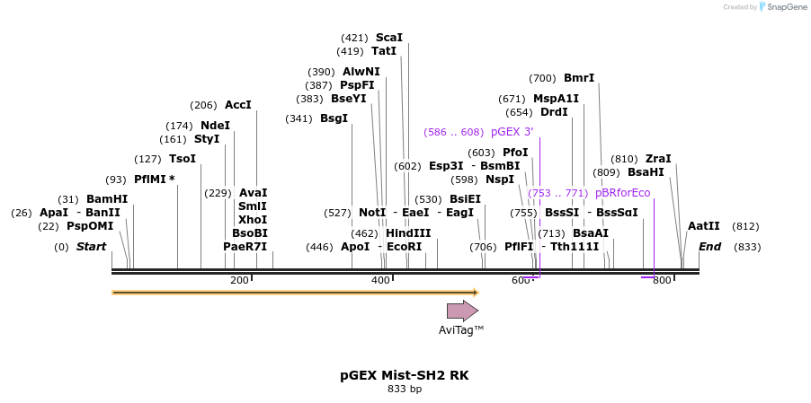 66746_map