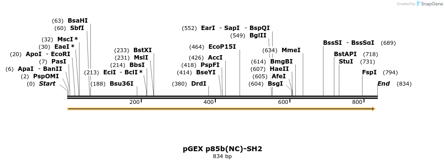 66753_map
