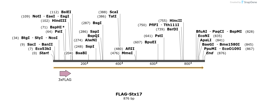 66759_map