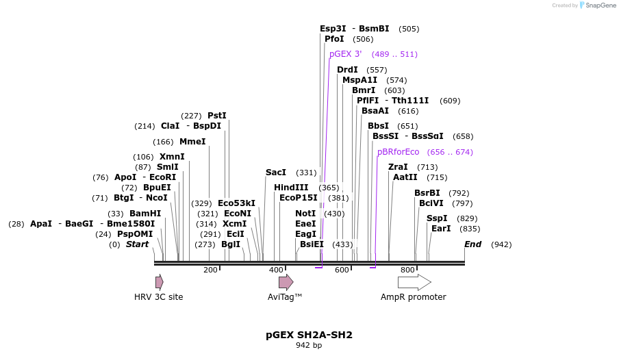 66760_map