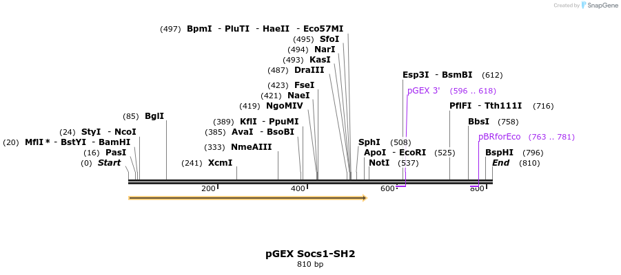 66761_map