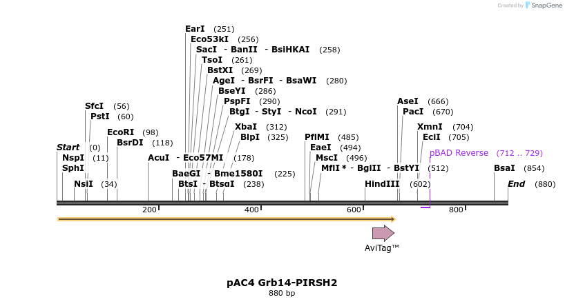 66766_map