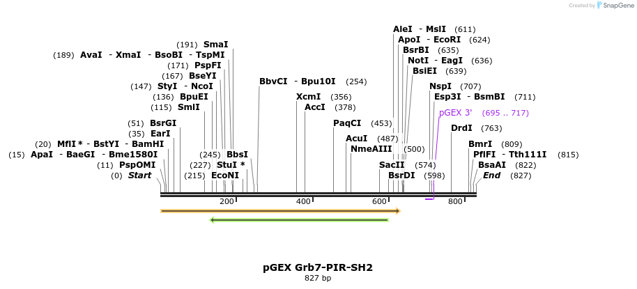 66769_map