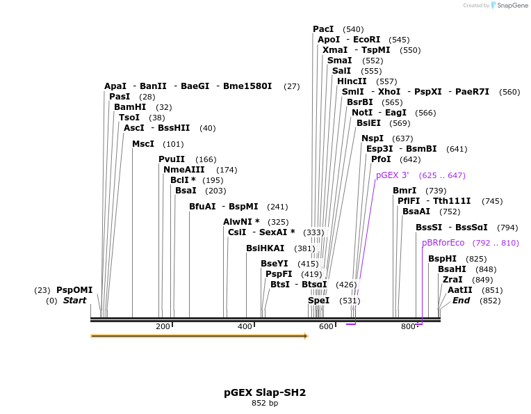66774_map