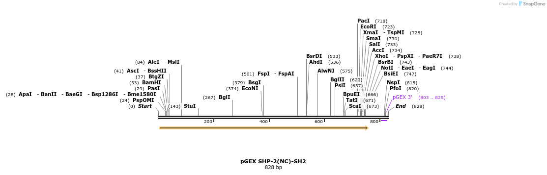 66777_map