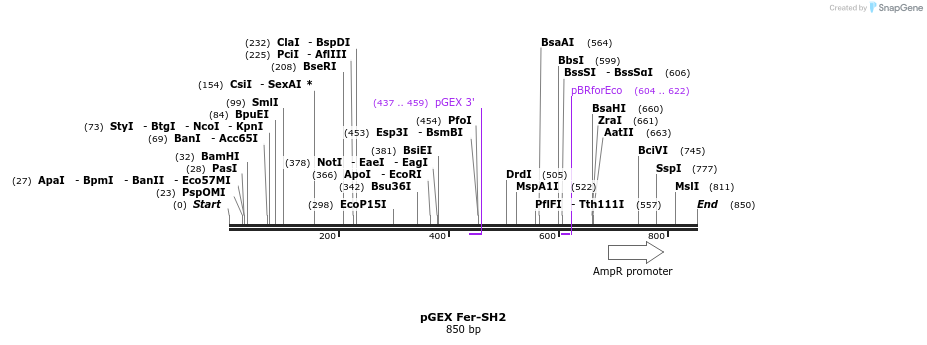 66779_map