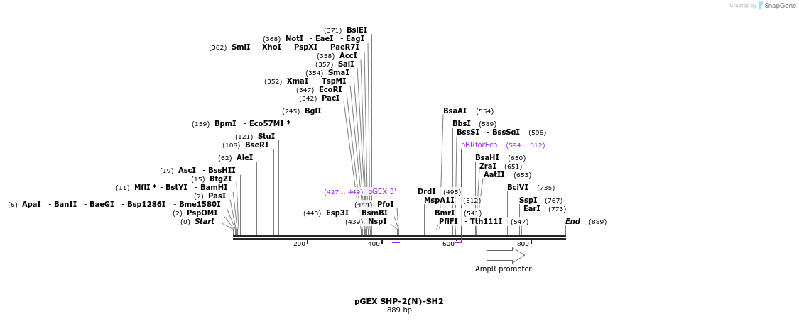 66780_map