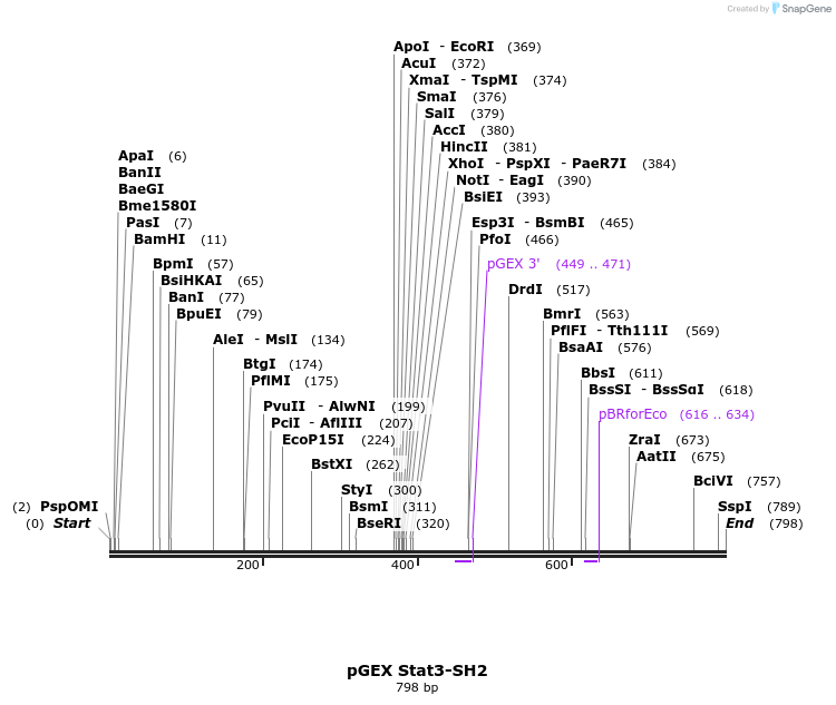 66781_map