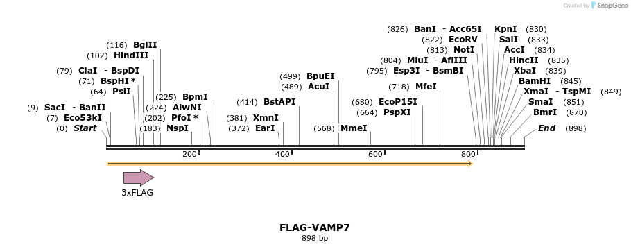 66789_map