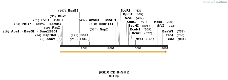 66793_map