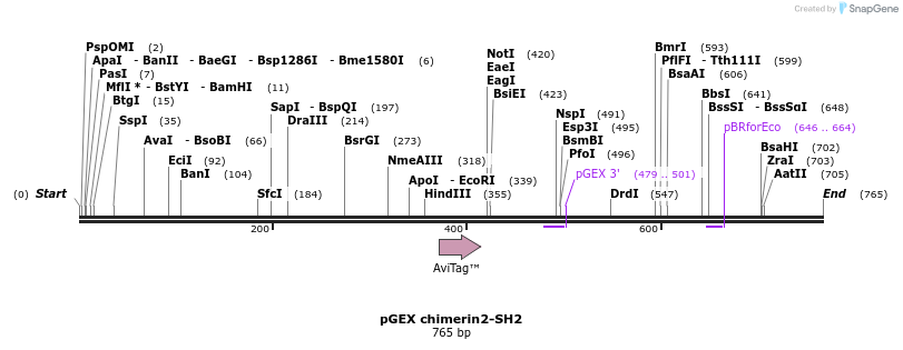 66798_map