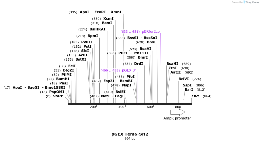 66800_map