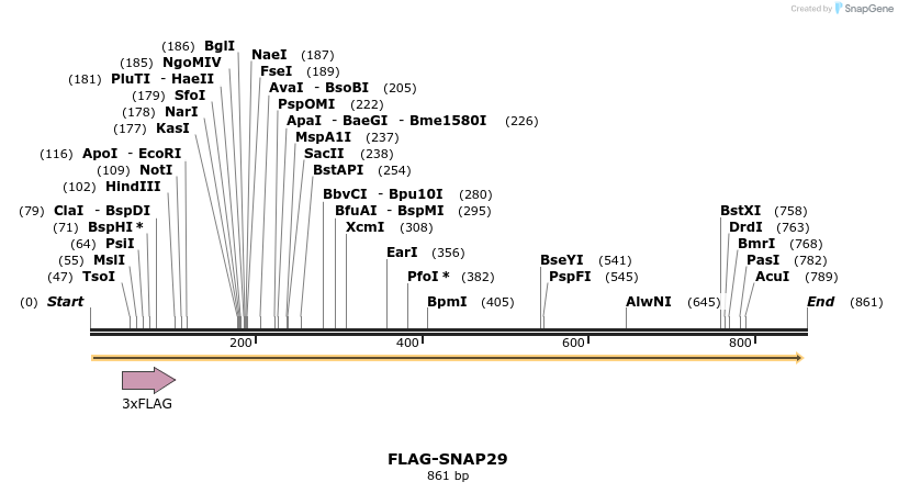 66801_map
