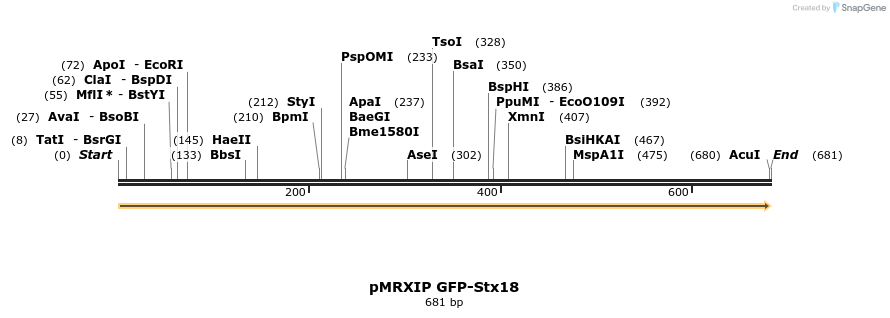 66804_map