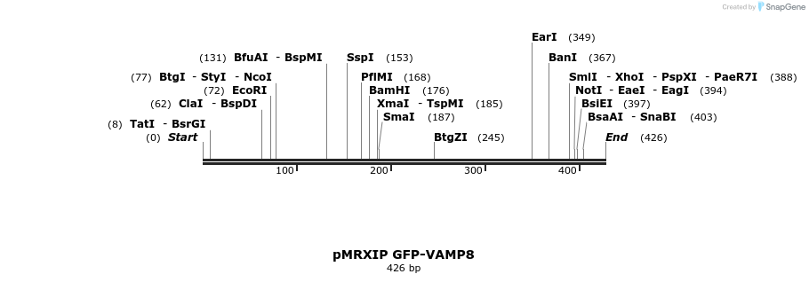 66805_map