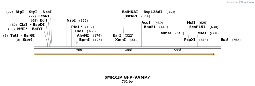 66807_map