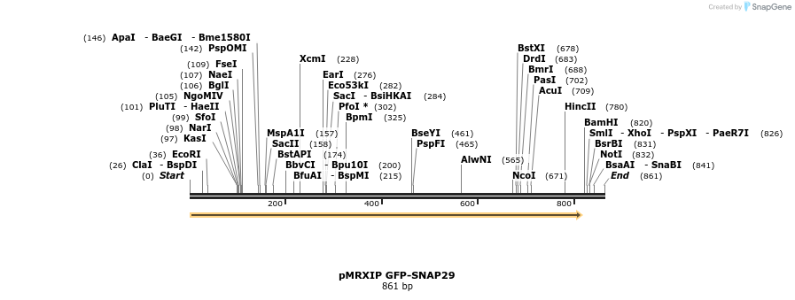 66808_map