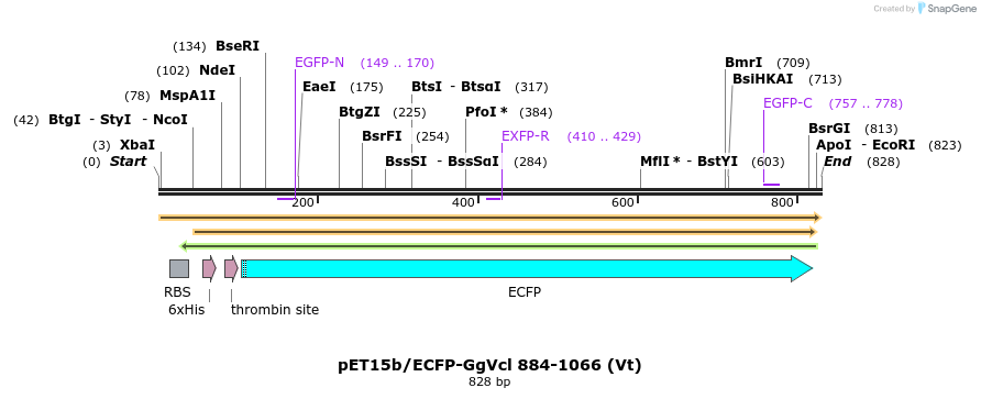 66811_map