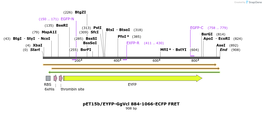 66814_map