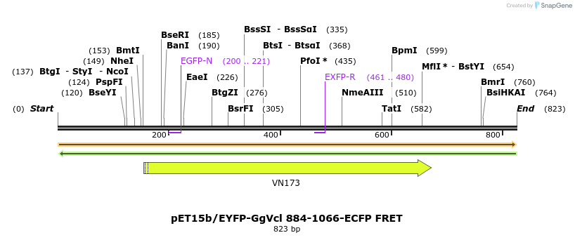 66815_map