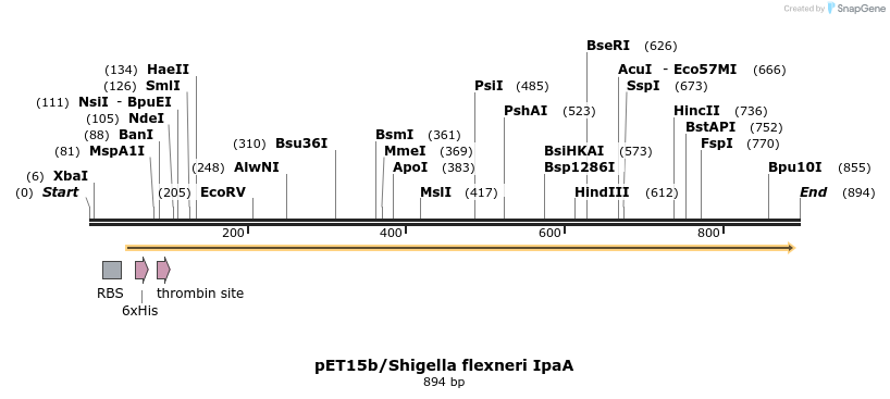 66817_map