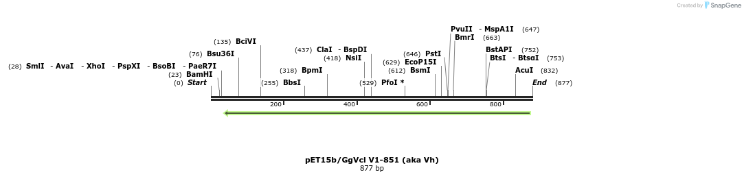 66829_map