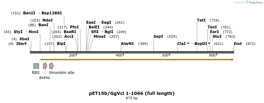 66830_map