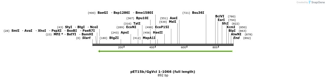 66831_map
