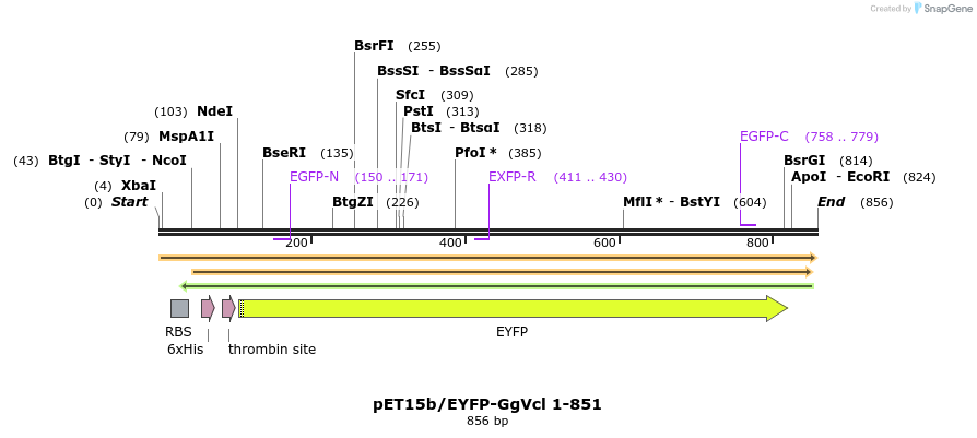66832_map
