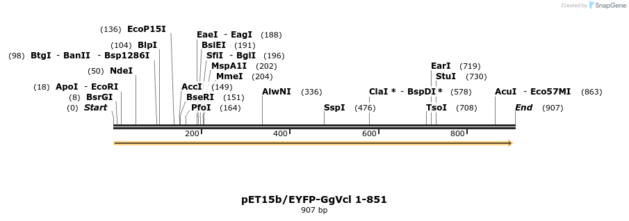 66834_map