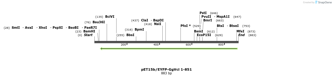 66835_map