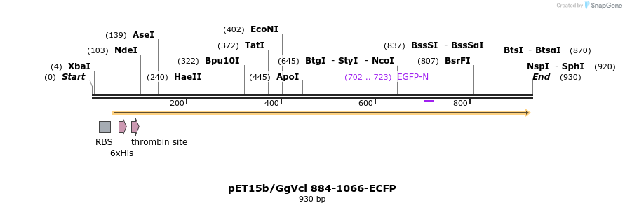 66836_map