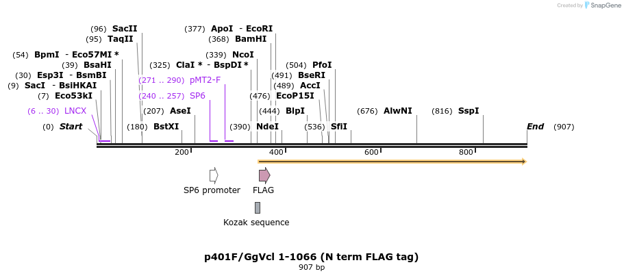66849_map