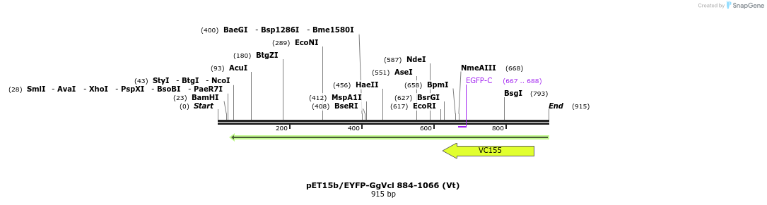 66858_map