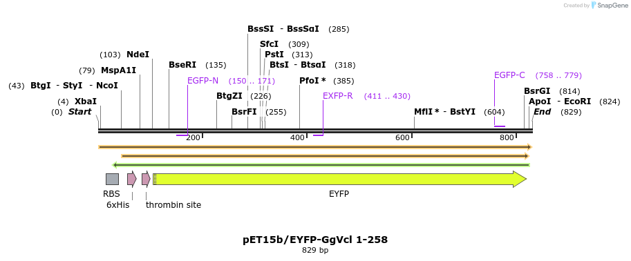 66860_map