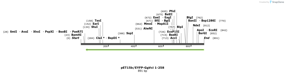 66861_map