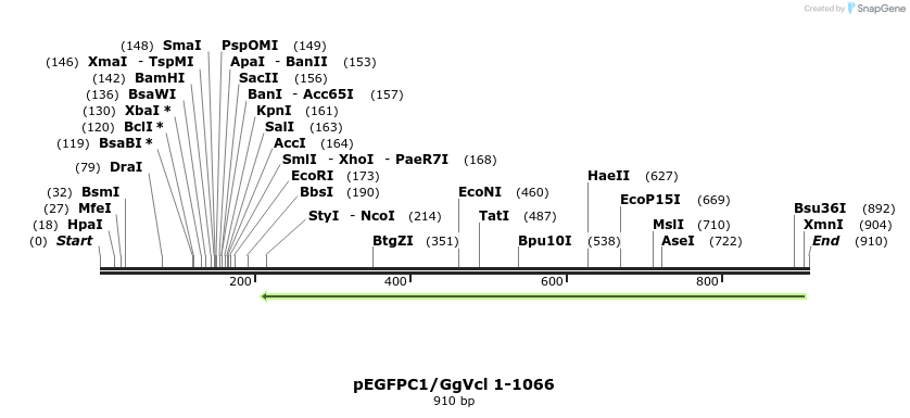 66866_map