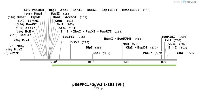 66874_map