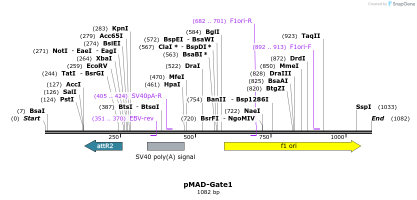 66885_map