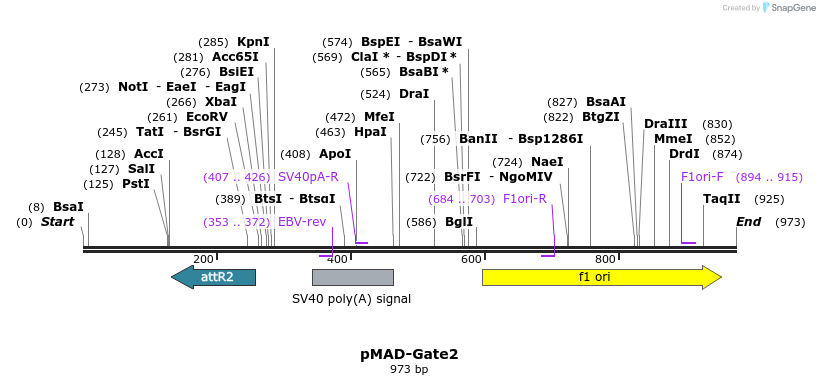 66889_map