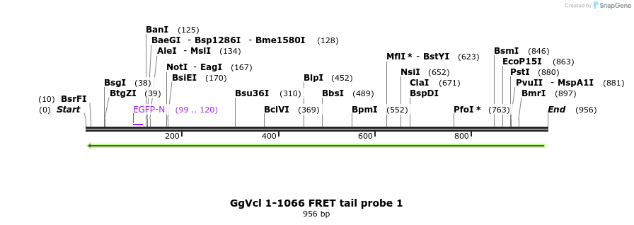 66891_map