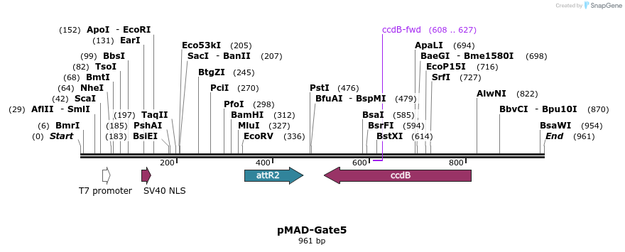 66896_map