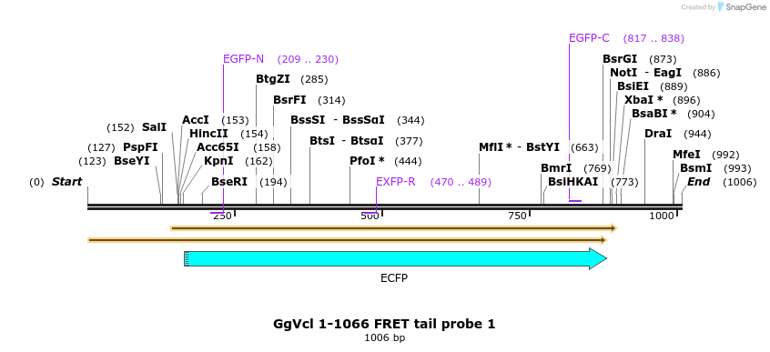 66898_map