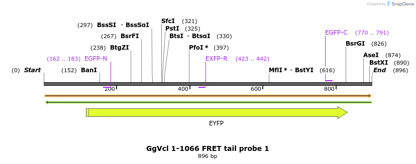 66905_map