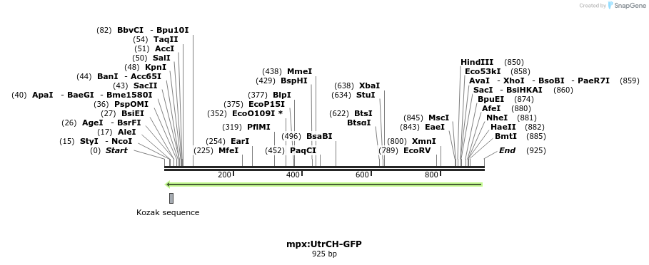 66906_map