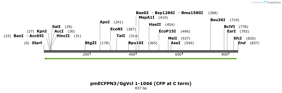 66924_map
