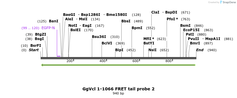 66927_map