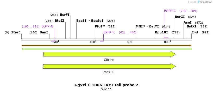 66929_map